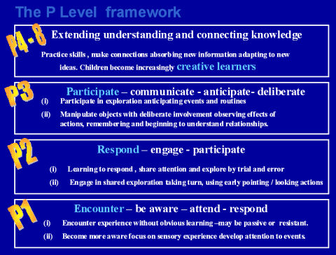 6-pscales-framework.gif